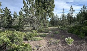 Porpoise Lane Lot 29, Bonanza, OR 97623
