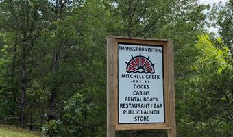 955 Livingston Boat Dock Rd, Allons, TN 38541