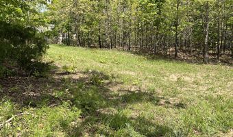 County Road P-309, Alton, MO 65606