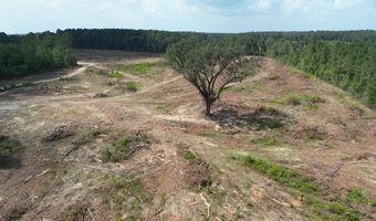 SE Cole Drive, Bogue Chitto, MS 39629