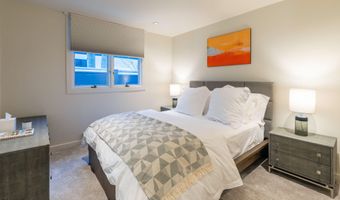 506 W Hallam St, Aspen, CO 81611