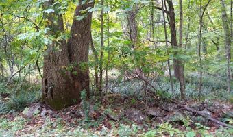 Chowanec Road, Columbia, CT 06237