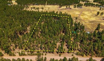61 Co Rd 2266, Alpine, AZ 85920