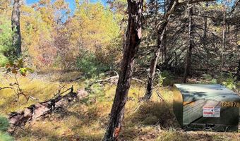 10 Acres County Road C, Arkdale, WI 54613