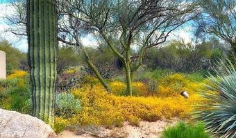 5878 E CHUPAROSA Pl 70, Carefree, AZ 85377
