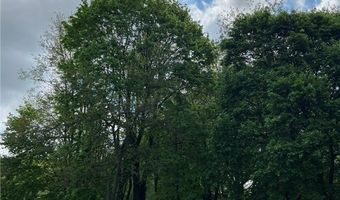 805 Utica Ave, Akron, OH 44312