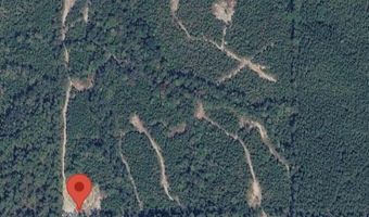 40 Acres Forestry Road 356, Beaumont, MS 39423