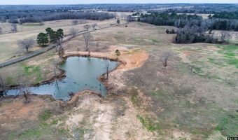 TBD VZ CR 4702, Ben Wheeler, TX 75754