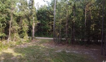 TBD Oglethorpe Dr, Andrews, SC 29510