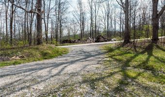 47691 E Captina Highway Rd, Alledonia, OH 43902