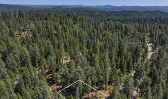 1934 Almaden Dr, Arnold, CA 95223