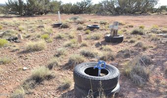 10 N9228, Concho, AZ 85924