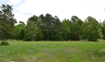 S HWY 69, Alba, TX 75410