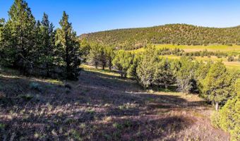 737 Raccoon Ln, Alturas, CA 96101