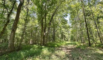 2 Champion Hill Rd, Bolton, MS 39041