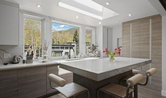 120 S Spring St 1, Aspen, CO 81611