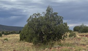 N8485, Concho, AZ 85924