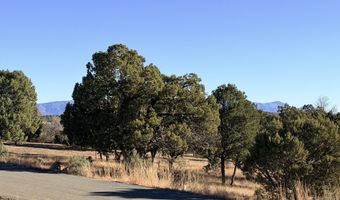 Antler Drive lot 87, Alto, NM 88312