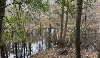 2423 Mill Creek Rd, Bethune, SC 29009