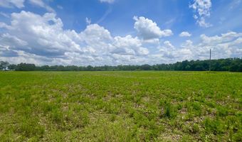 0 N County Rd. 75, Ashford, AL 36312