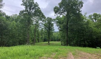 213 Wynn Fry, Big Sandy, TN 38221
