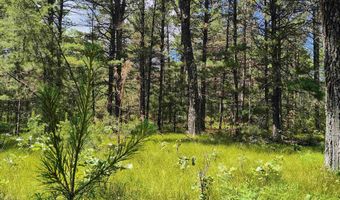 5 6 Acres 16th Ave Lot 3, Arkdale, WI 54613