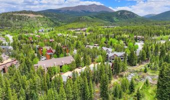 805 Columbine Rd 102, Breckenridge, CO 80424