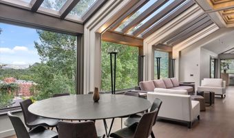 730 S Galena St, Aspen, CO 81611