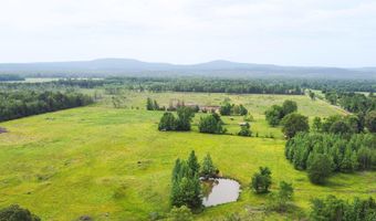 102 Magnolia Rd, Adona, AR 72001