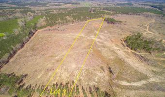 Duncan Road, Batesburg, SC 29006