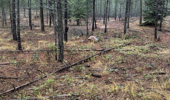 13150 E BUNCO Rd, Athol, ID 83801