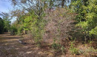 NW Tommy Tucker Road lot 1, Altha, FL 32421