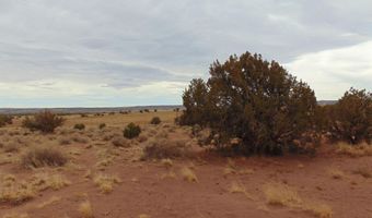 42 N5576, Concho, AZ 85924