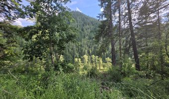 480 Dunn Peak Rd, Avery, ID 83802