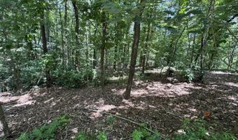 49 La Granja Cir, Hot Springs Village, AR 71909