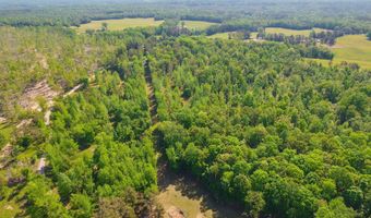 9402 Brooksie Thompson Rd, Bath Springs, TN 38311