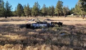 19 Chukar Ln, Alturas, CA 96101