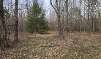 Williams Road, Bald Knob, AR 72010