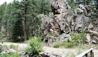 25653 Buckhorn Rd, Bellvue, CO 80512