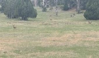 Crest Ct lot 2, Alton, UT 84710