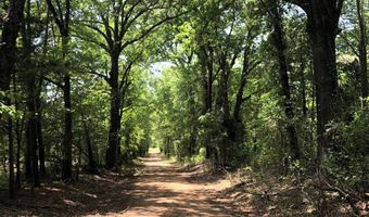 1071 LR 3, Ashdown, AR 71822