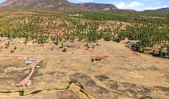 34 County Road 2100, Alpine, AZ 85920