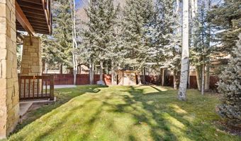 824 Bonita Dr, Aspen, CO 81611