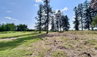 234788 EAU CLAIRE RIVER Rd, Aniwa, WI 54408