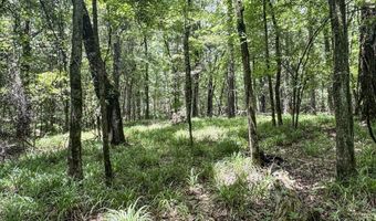 Pine Lodge Road, Batesville, MS 38606