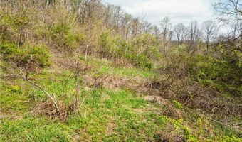 E Captina Highway Road, Alledonia, OH 43902