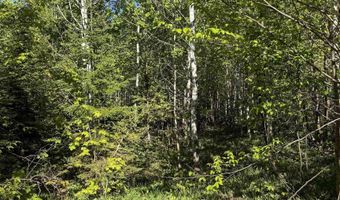 Gratiot River Road lot A, Allouez, MI 49805