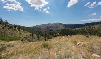 693 Cougar Dr, Bellvue, CO 80512