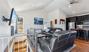 255 FLANNIGAN Cir, Alma, CO 80420