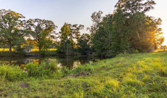 100 Acres Harmony Church Rd, Andalusia, AL 36421